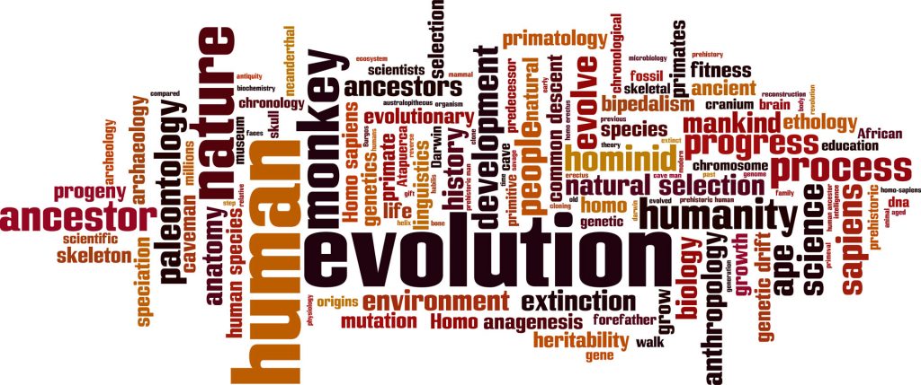 Evolution Tag Words By Boris15