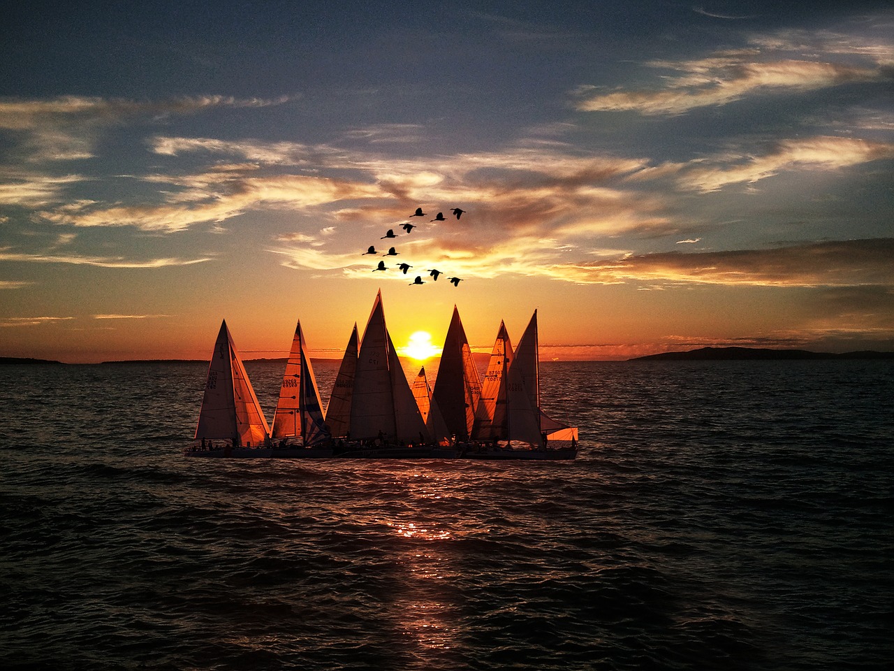 Qu’est ce qu’un BIEN COOPÉRACTIF Multiple ?