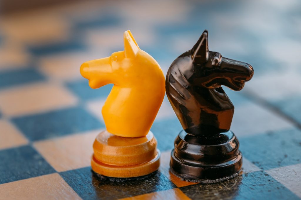 Chevaux d'échecs dos à dos par Grigory_bruev