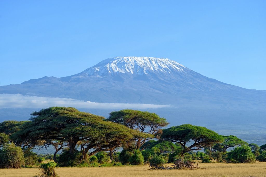landscape of Mount Kilimanjaro - the roof of Africa in Tanzania by MHSKYPIXEL.