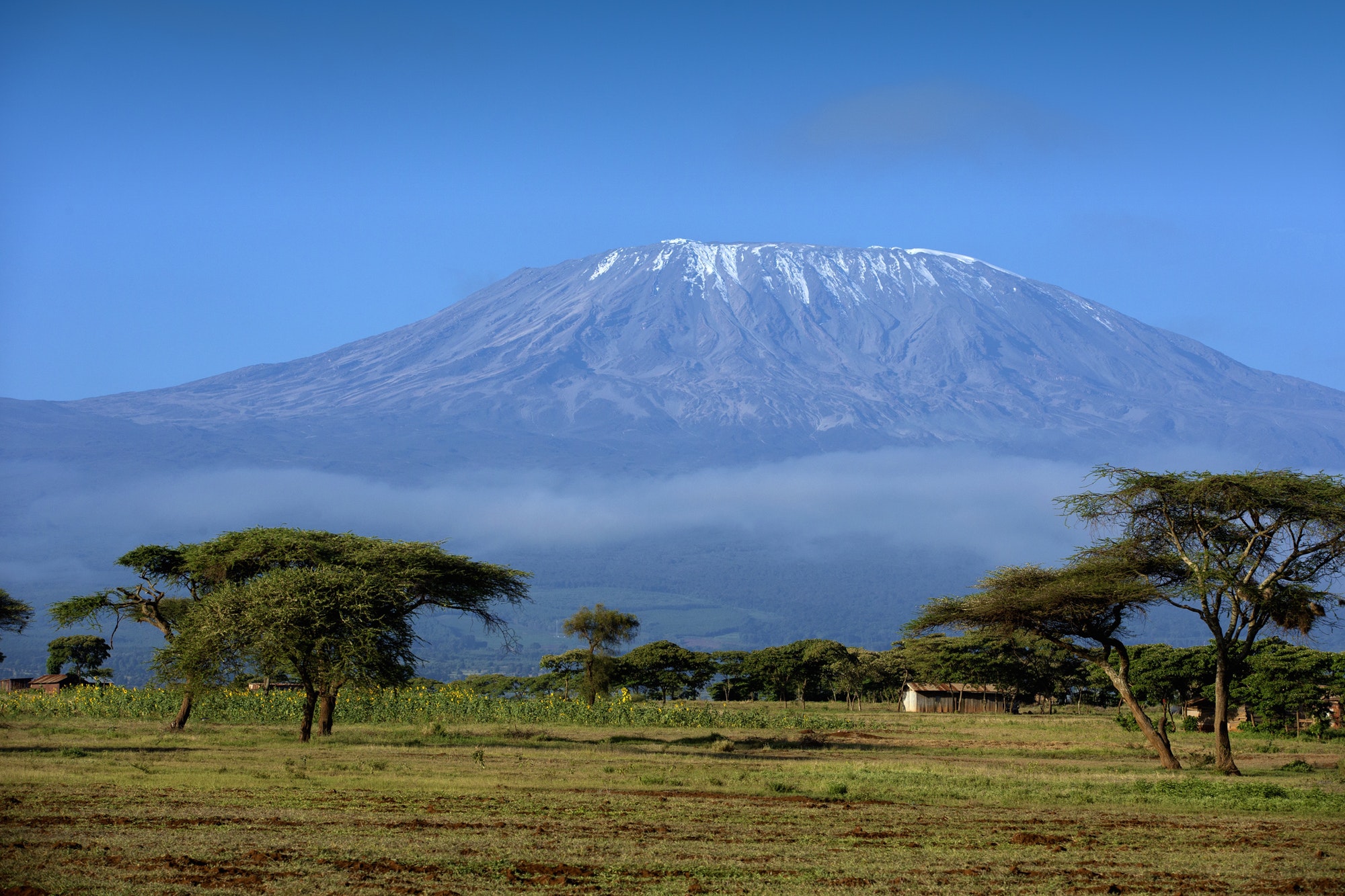 landscape of Mount Kilimanjaro - the roof of Africa in Tanzania by MHSKYPIXEL..